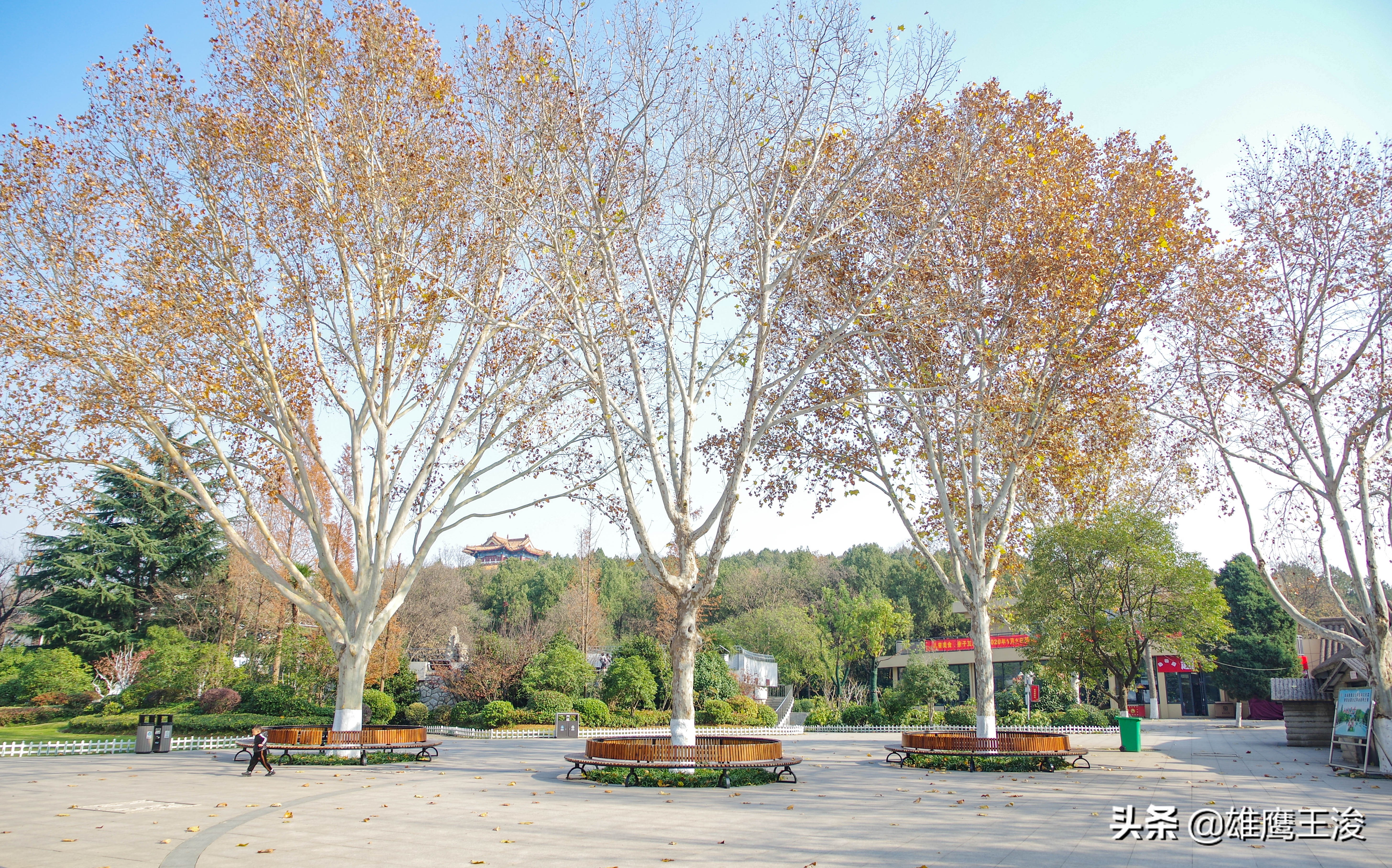 江苏最适合旅居的小城市,江苏度假城市推荐