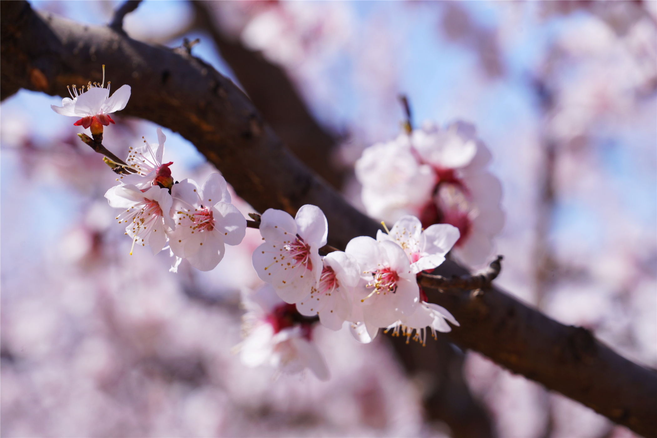 河北这座文旅小城值得一去,河北的一座小县城