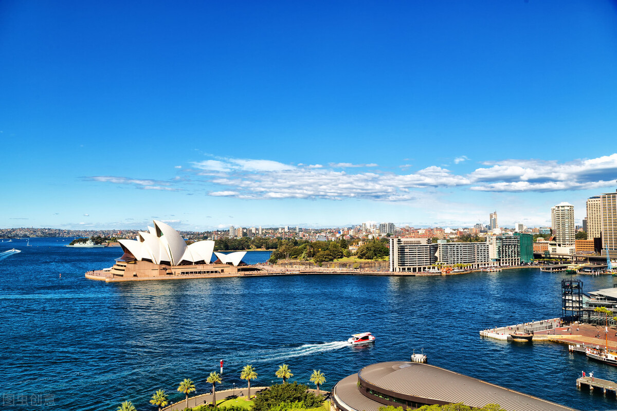 澳大利亚冷知识，独特的动物，你知道几个？