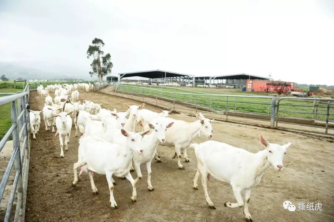 只要勤快多少都能赚点钱,只要勤快就能赚钱吗