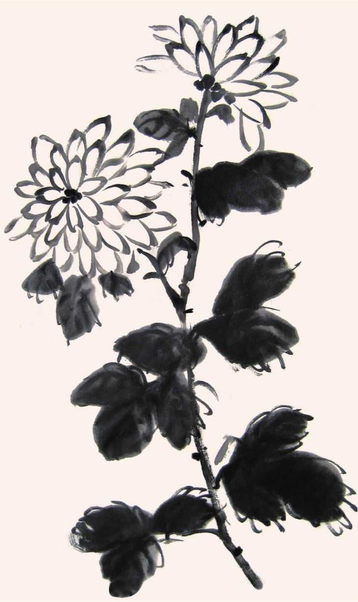 国画菊花的叶子画法步骤入门,梅兰竹菊国画菊花初学者怎么用笔