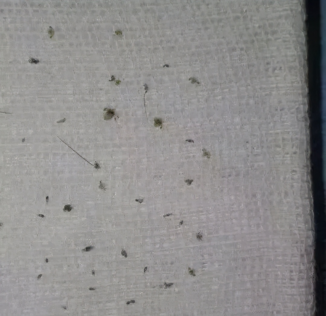 6岁孩子说眼睛痒眨眼怎么回事,小孩眼睛痒是有虫子吗