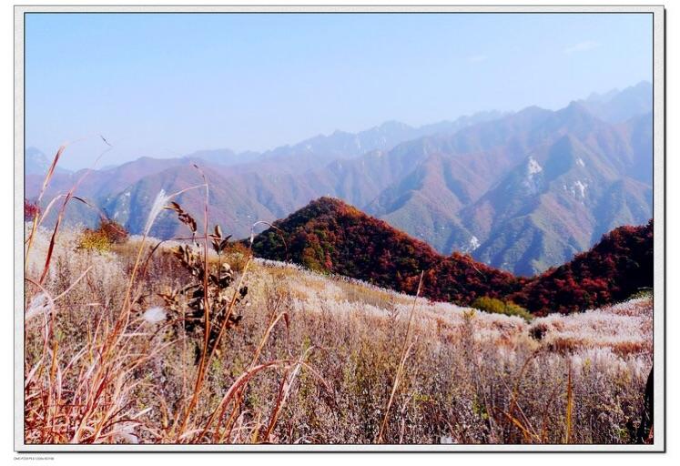 天上掉馅饼砸头了,天上掉馅饼砸脑袋gif