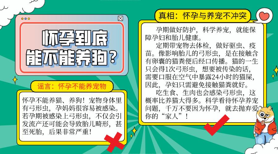 狗狗知道主人怀孕后的反应动画,主人怀孕后狗狗的反应哈士奇
