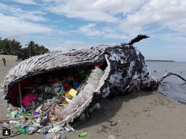 不进行垃圾分类地球会怎样 (我们可以怎样阻止垃圾分类)