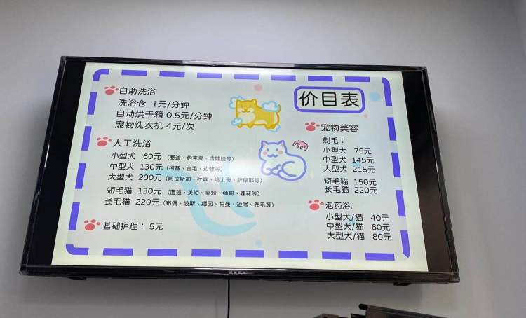 上海自助洗宠,上海宠物自助洗宠