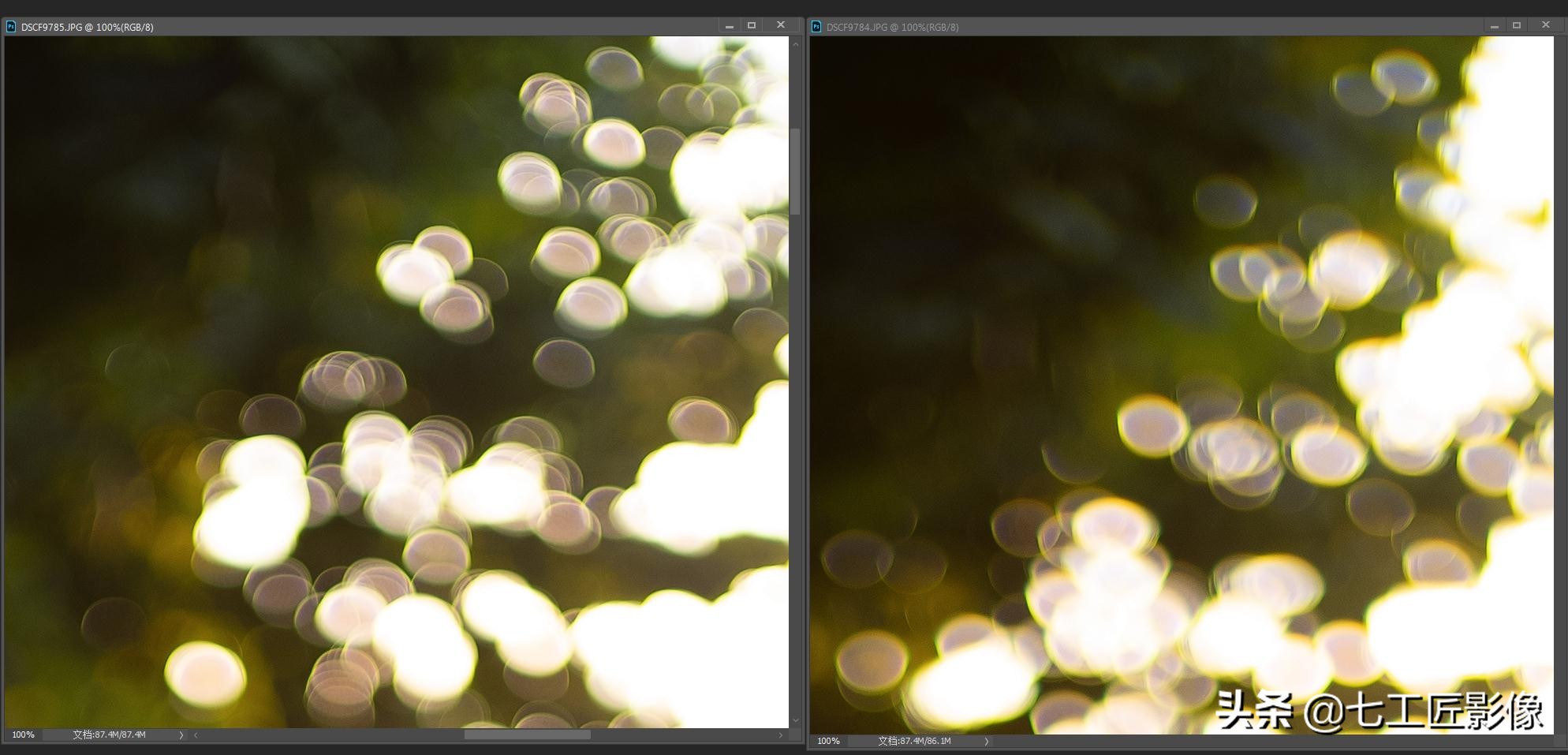 永诺50mmf1.8和七工匠35mmf1.4,七工匠人文镜头