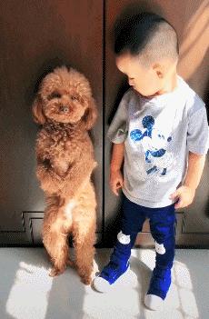 搞笑视频,搞笑动图gif高清