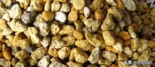 养花的铺石有哪些种类,养花石怎么种植好呢