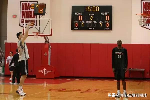 羽毛球基本动作文字介绍,羽毛球的动作描写