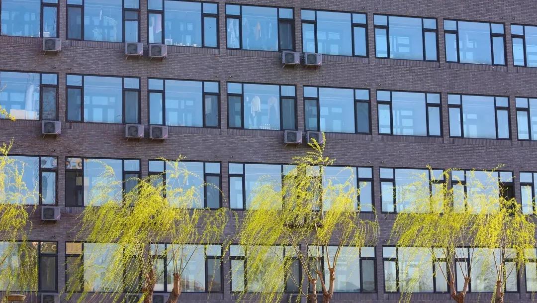 中央美术学院近三年录取方式,中央美术学院录取条件