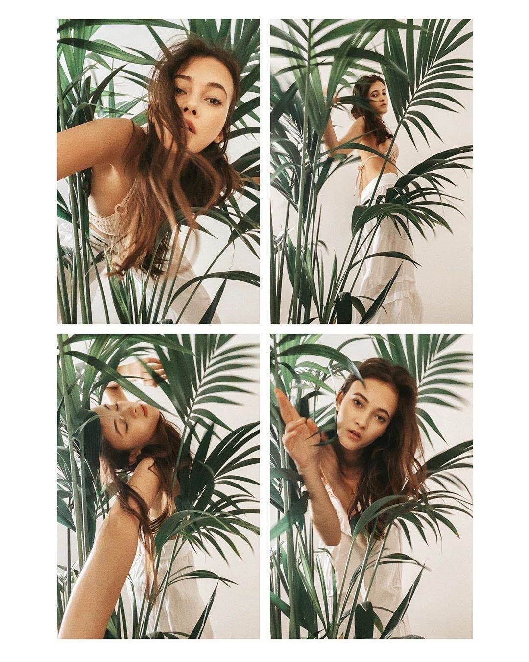 关于摄影器材,摄影防抖器材