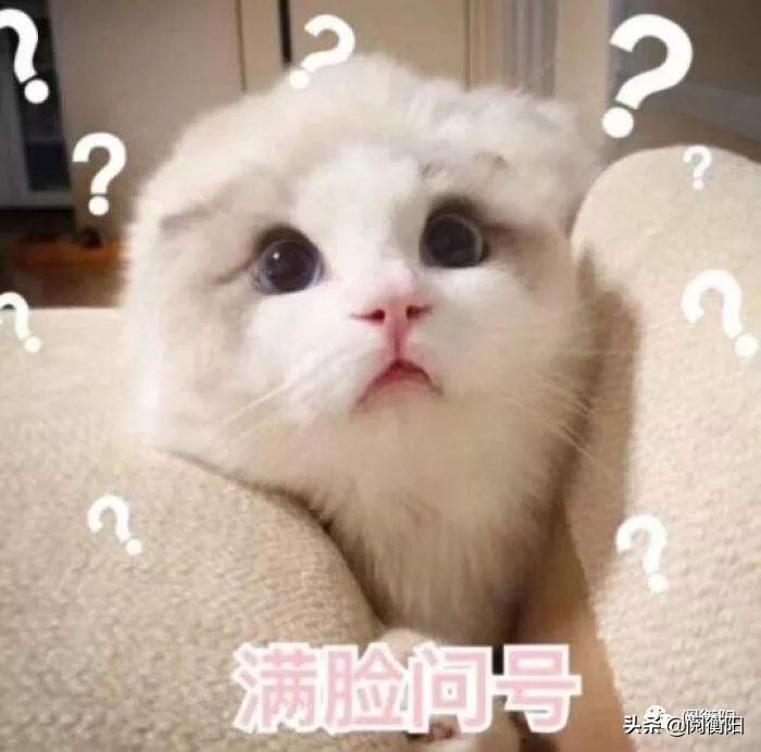 衡阳融冠乐城的房子值得买吗,衡阳融冠乐城a区楼盘图