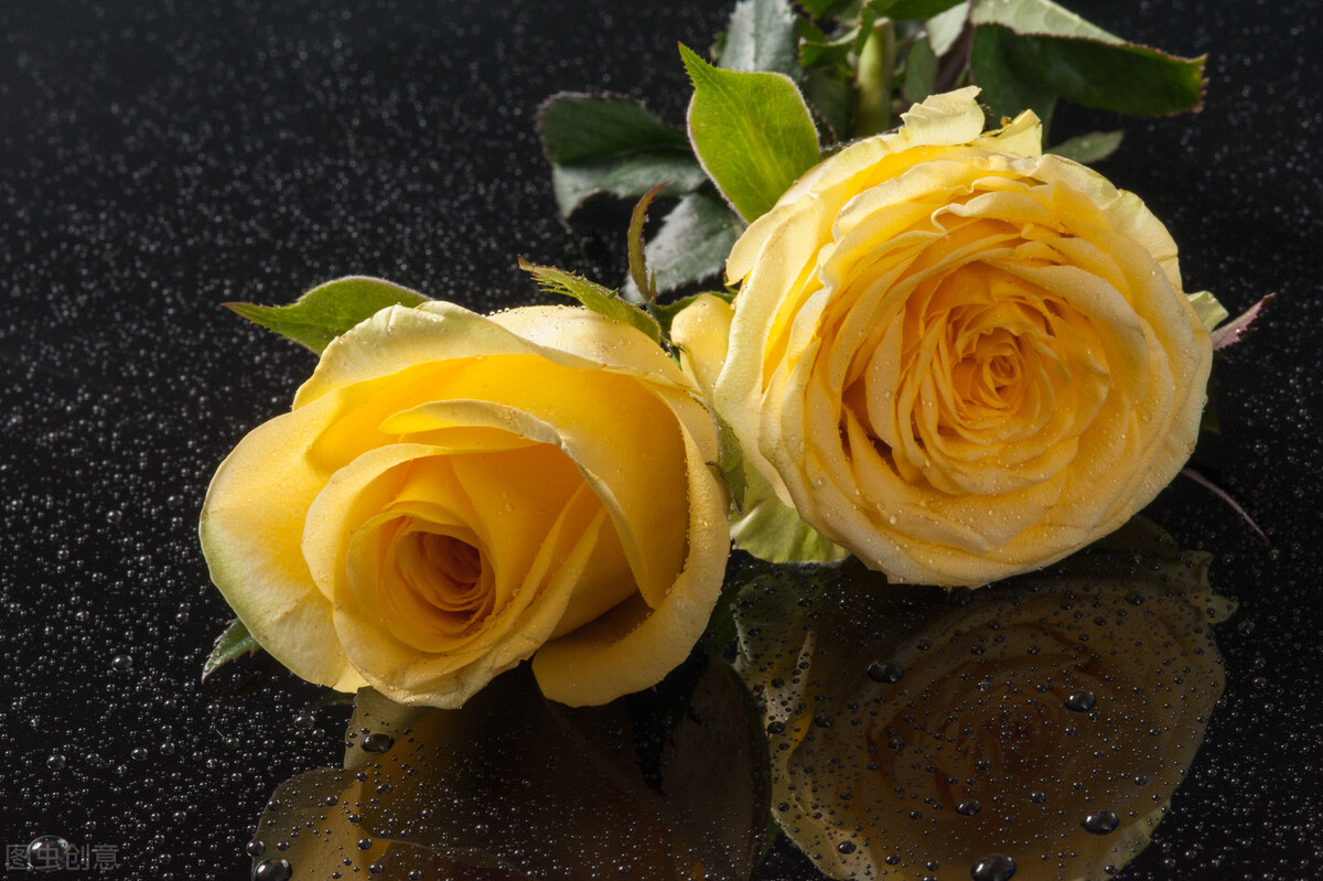 什么花适合送生日花,你的生日代表的花朵及寓意图片