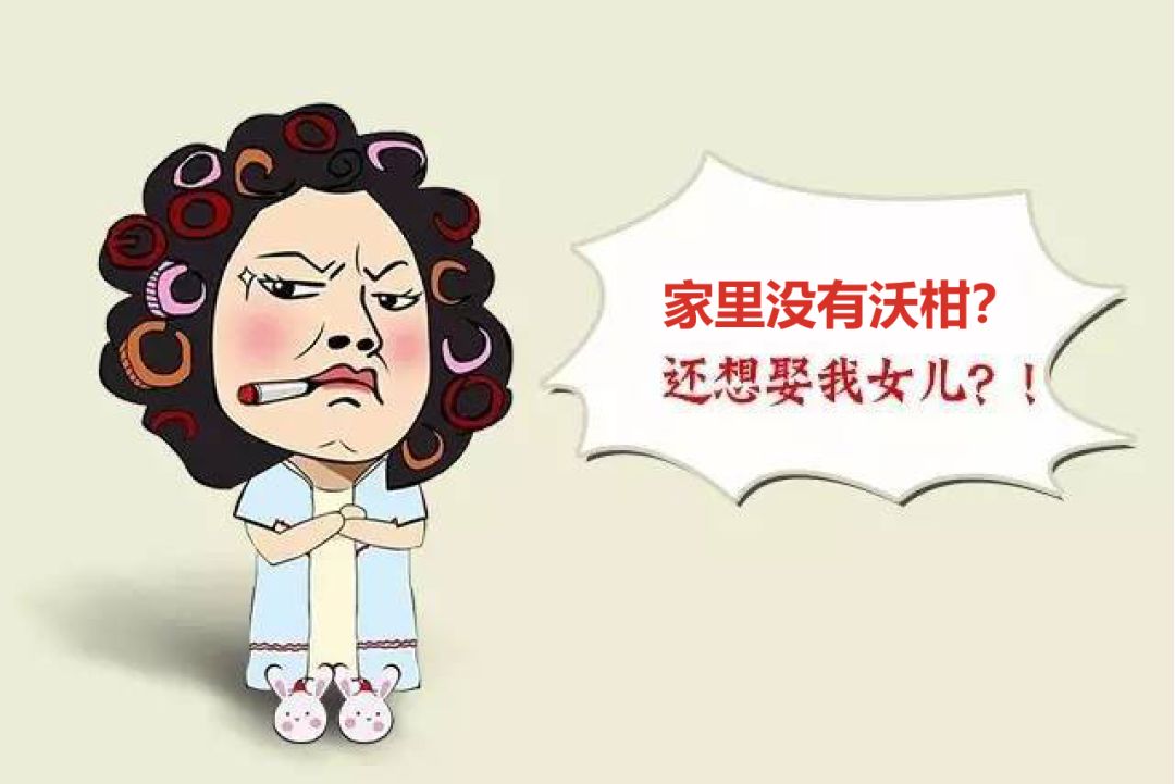 家里没有沃柑，不准娶我女儿？沃柑到底是有多赚钱？