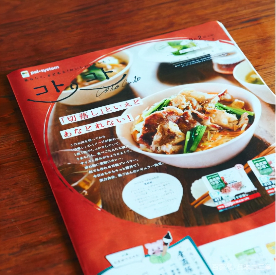 日本太太家务,日本太太的生活