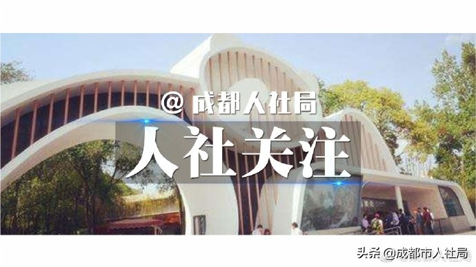 春天里的创业道路,春天里的创业