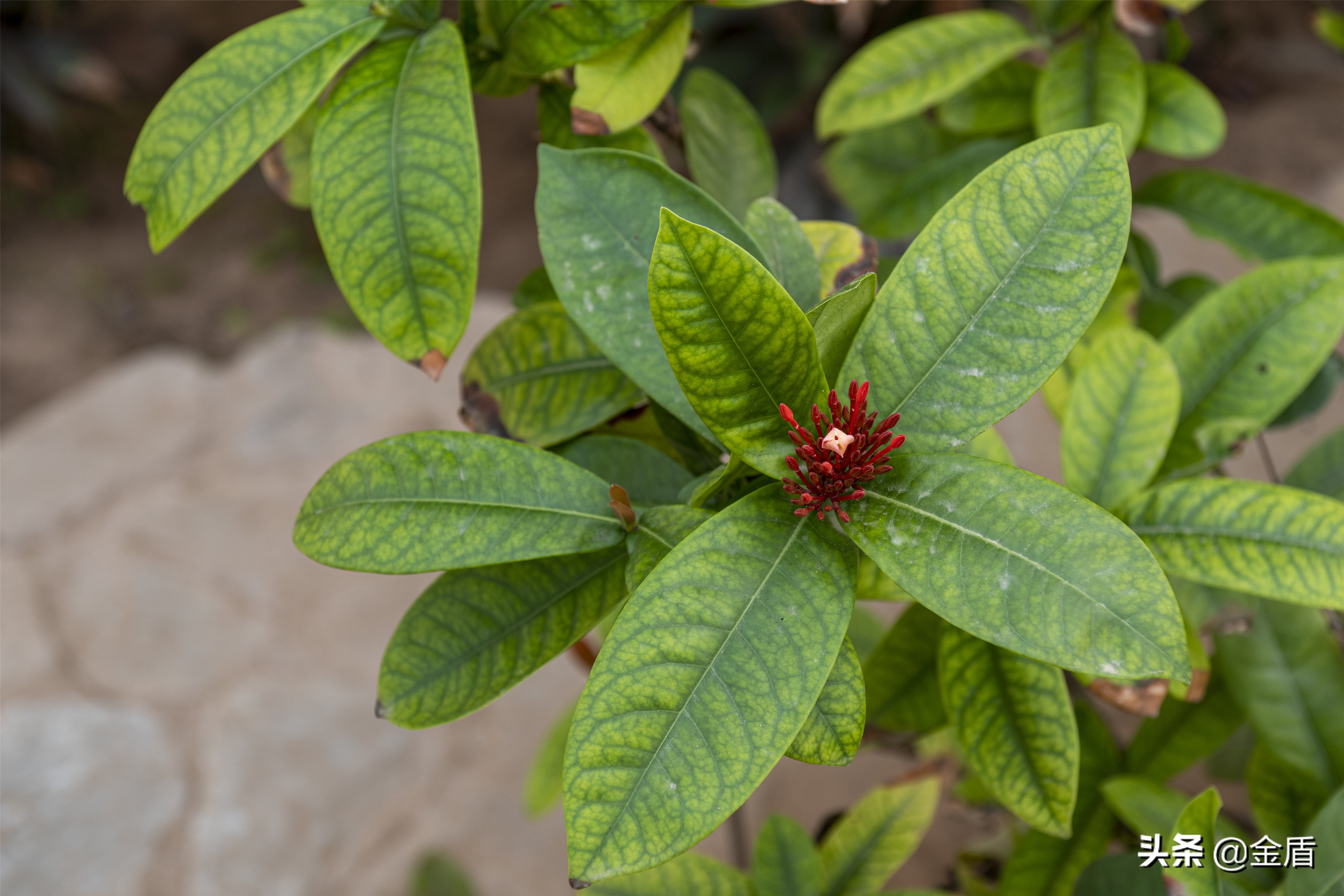 九天休闲谷附近景点大全,九天休闲谷一日游玩