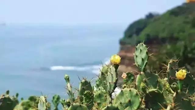 你的微信名暴露了你的层次,微信名出卖了你的阶层