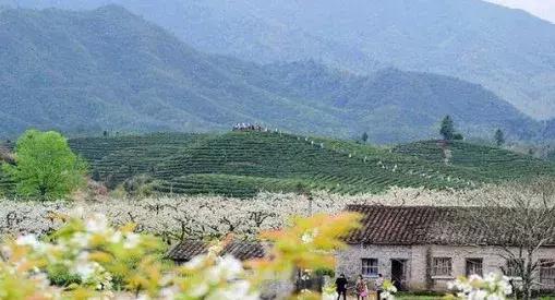 泉州到南昌西站的动车时刻表,泉州南高铁新消息