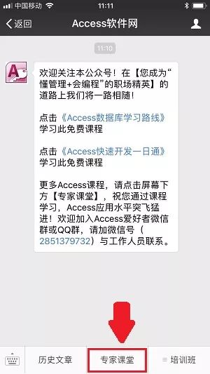 access专家,access教学网站