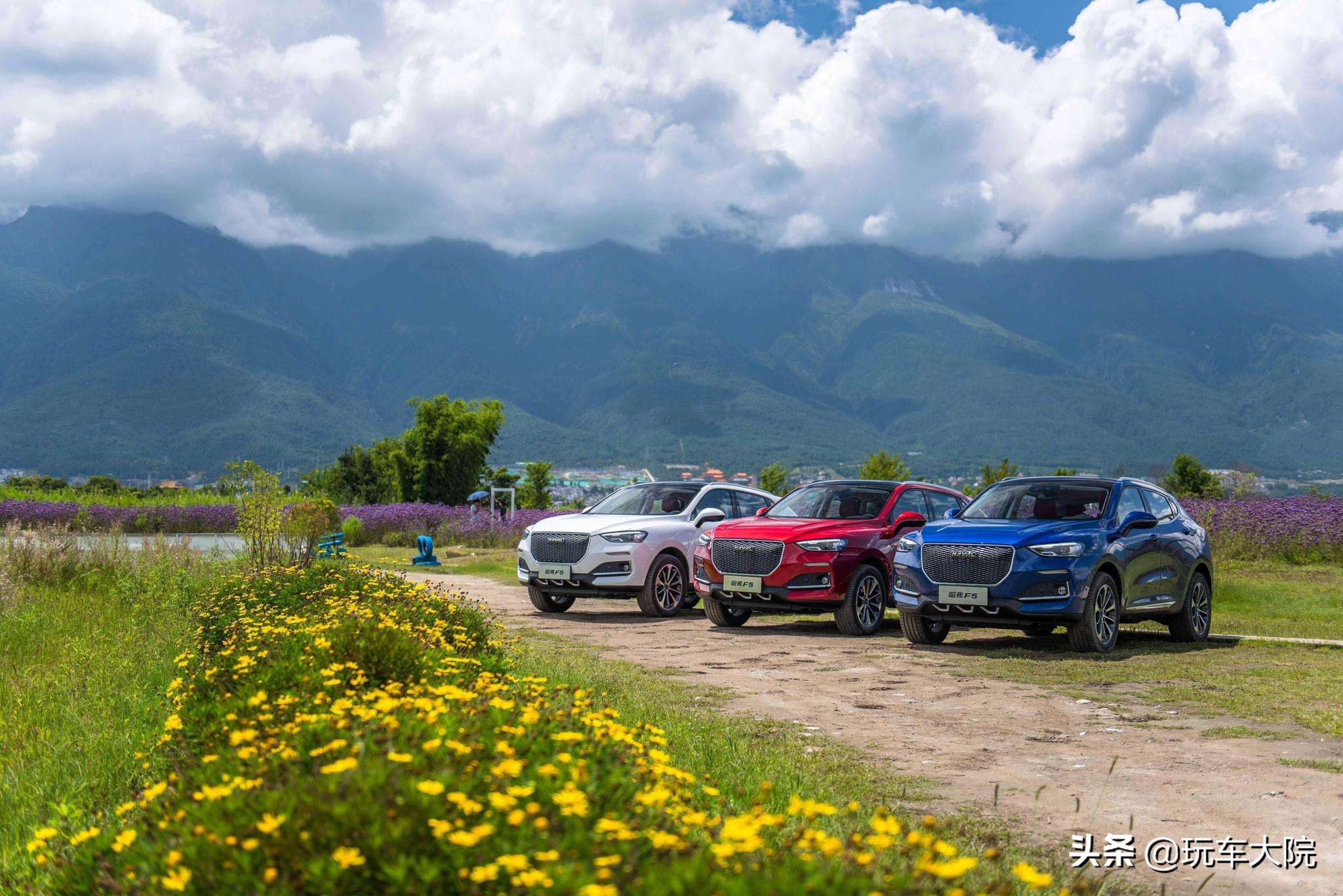 哈弗h6车标颜色什么意思,哈弗h6车标颜色区别