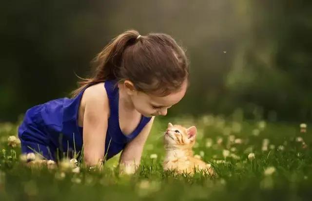 幼儿园不写作业的孩子该怎么办,幼儿园小朋友不愿意写作业怎么办