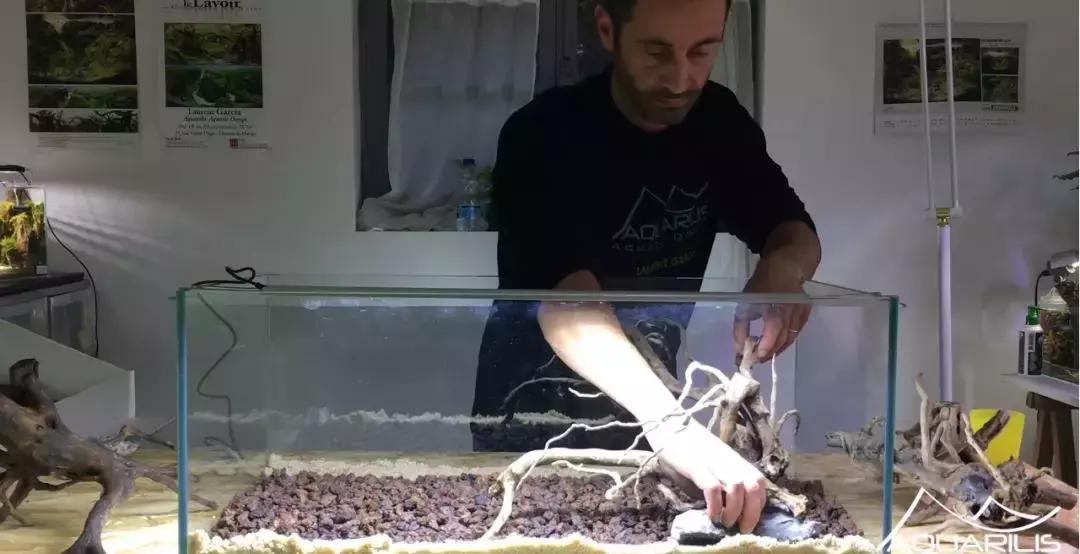 草缸造景教程：这个缸居然能装下一头“犀牛”？