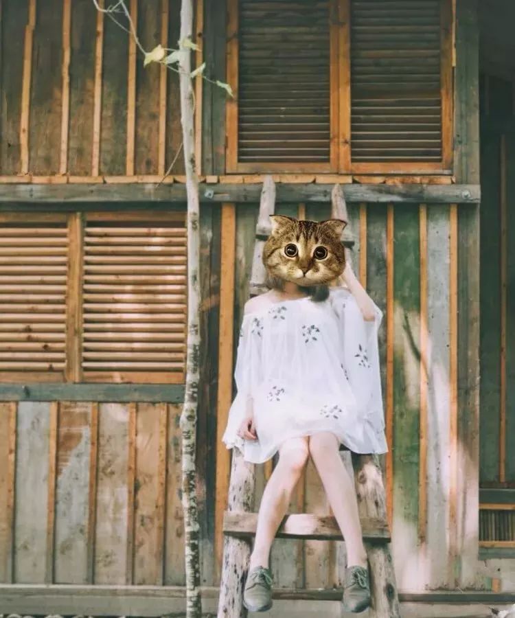 成都出发，一路向西的“旅行列车”年底开通！沿途好多……