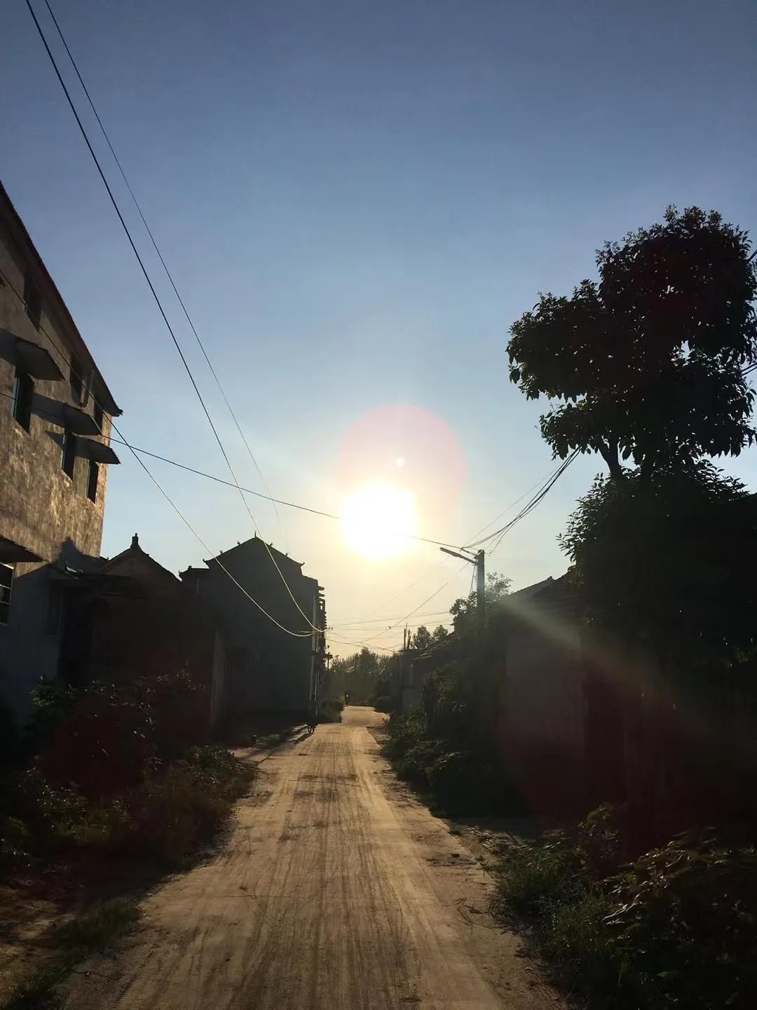 老徐今年在什么地方干活,老徐退休生活