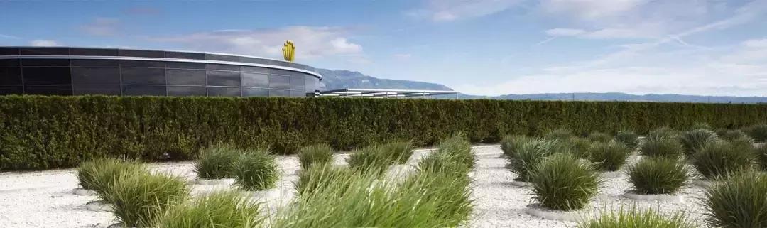 三个冷知识视频,劳力士手表为什么受欢迎