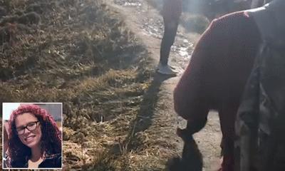 国外一男子爬山中遇到黑熊,美国人爬山遇到黑熊