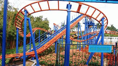 南沙葵园花海景区,广州南沙万顷葵园最佳旅游时间