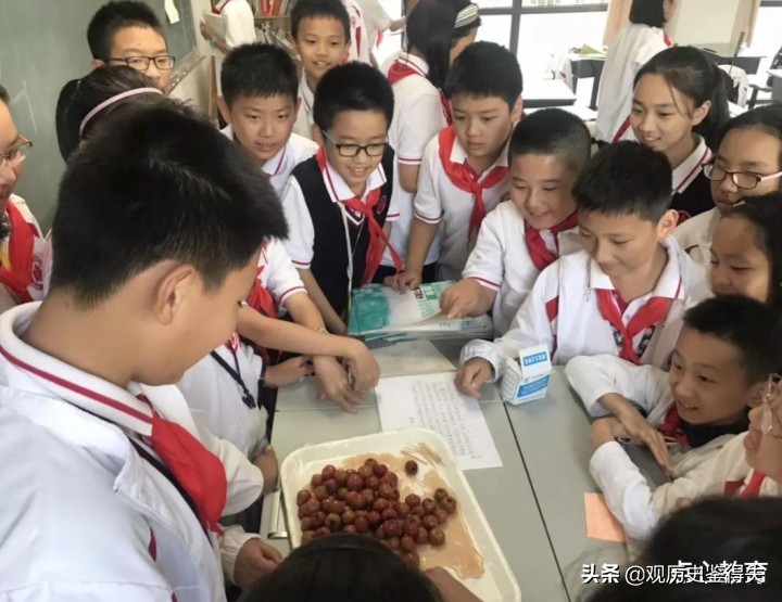 华二初中学校靠谱吗,华二初中致歉视频完整版