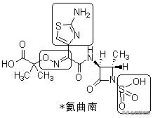 执业药师药物化学结构记忆口诀,初级药师基础知识药物分析