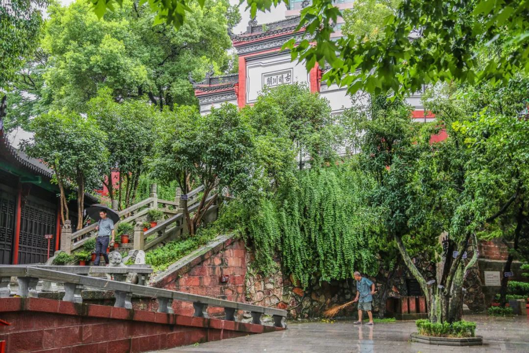 武汉必打卡排行榜,武汉十大打卡地