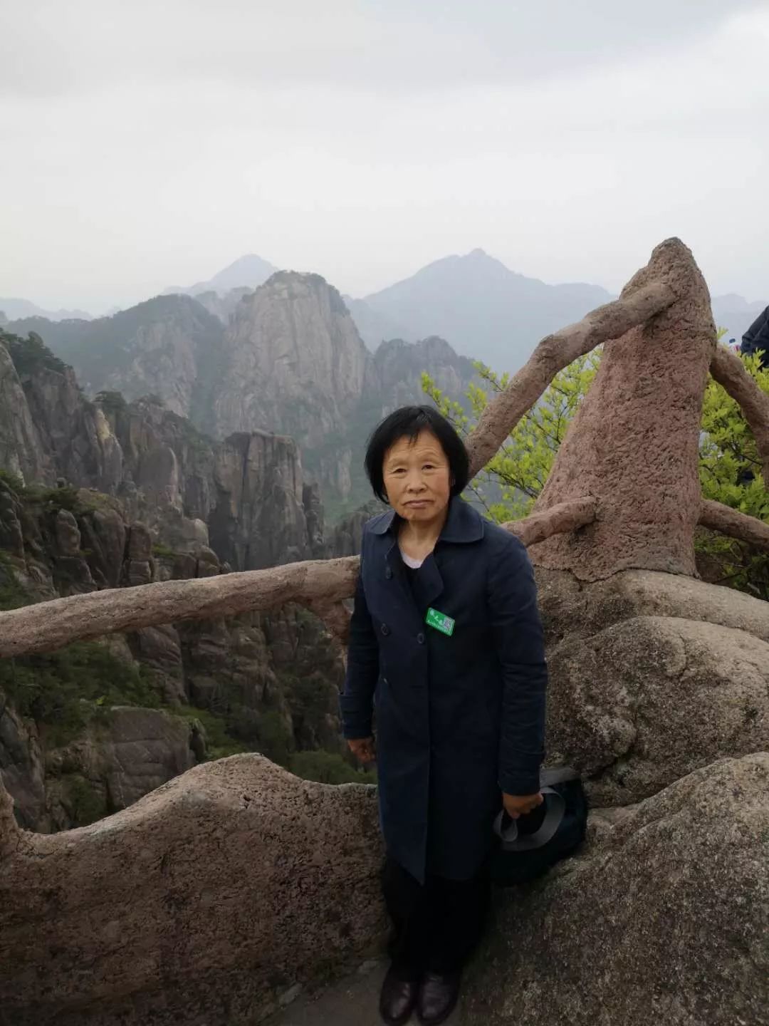 明星小主播杨梓序：《走进初夏》作者‖抒雅