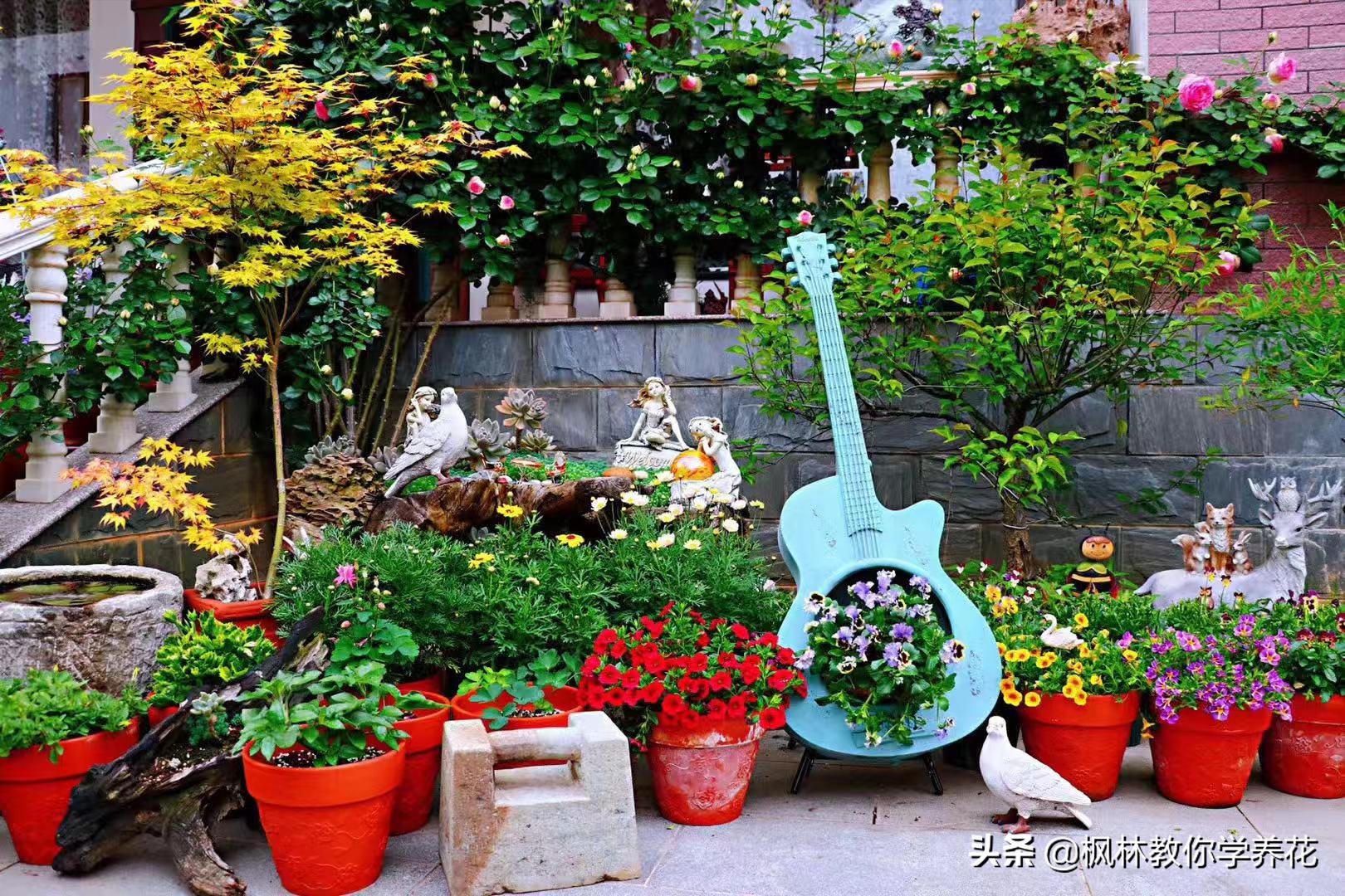 十种最难养的花排名,最难养的花卉排行榜