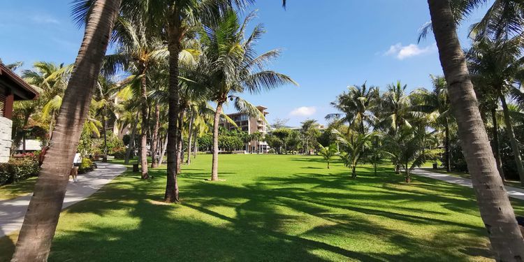 三亚红树林有亲子活动,三亚红树林和海韵