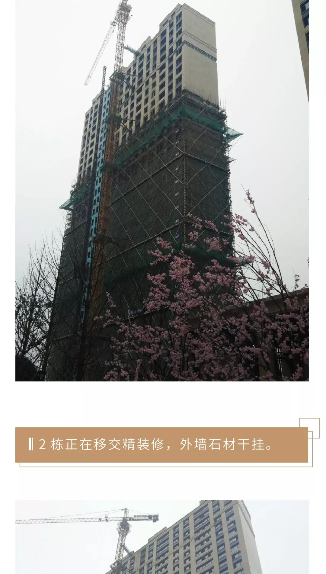 河西中房价,河西中豪宅