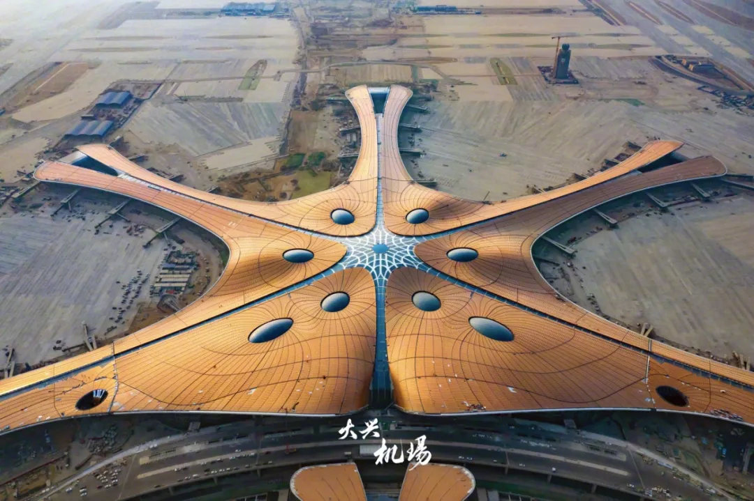 创造多项世界纪录,创造了十大让世界惊叹的奇迹