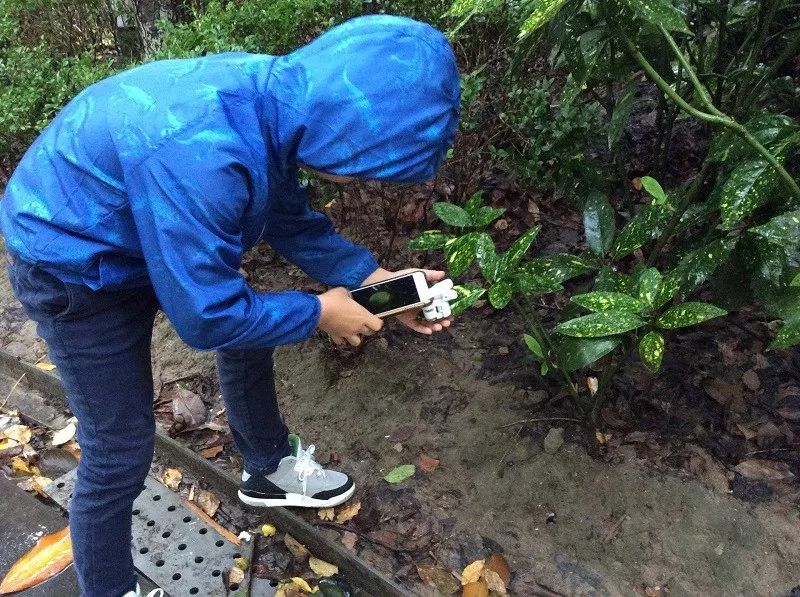 儿童最潮玩具,适合孩子玩的爆款玩具