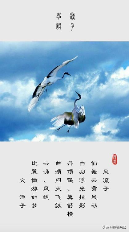 如何给照片增加文字说明,如何给照片加好看的文字