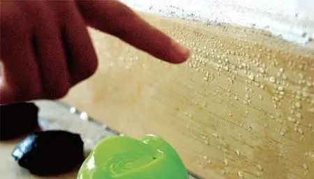 蘑菇孢子进入肺里发芽,菌类孢子进入肺部