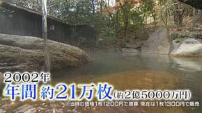 外行去别府，内行来黑川：置之死地而后生，九州最好玩的温泉街