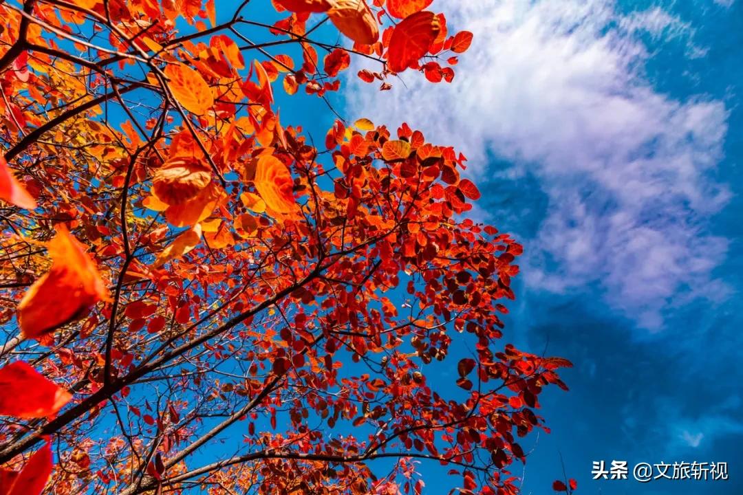 走过南闯过北还是老家最美,走过祖国大江南北还是河南最美