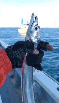 告别北上广：女白领朋友圈直播捕鱼，看了才知道什么是硬核海鲜