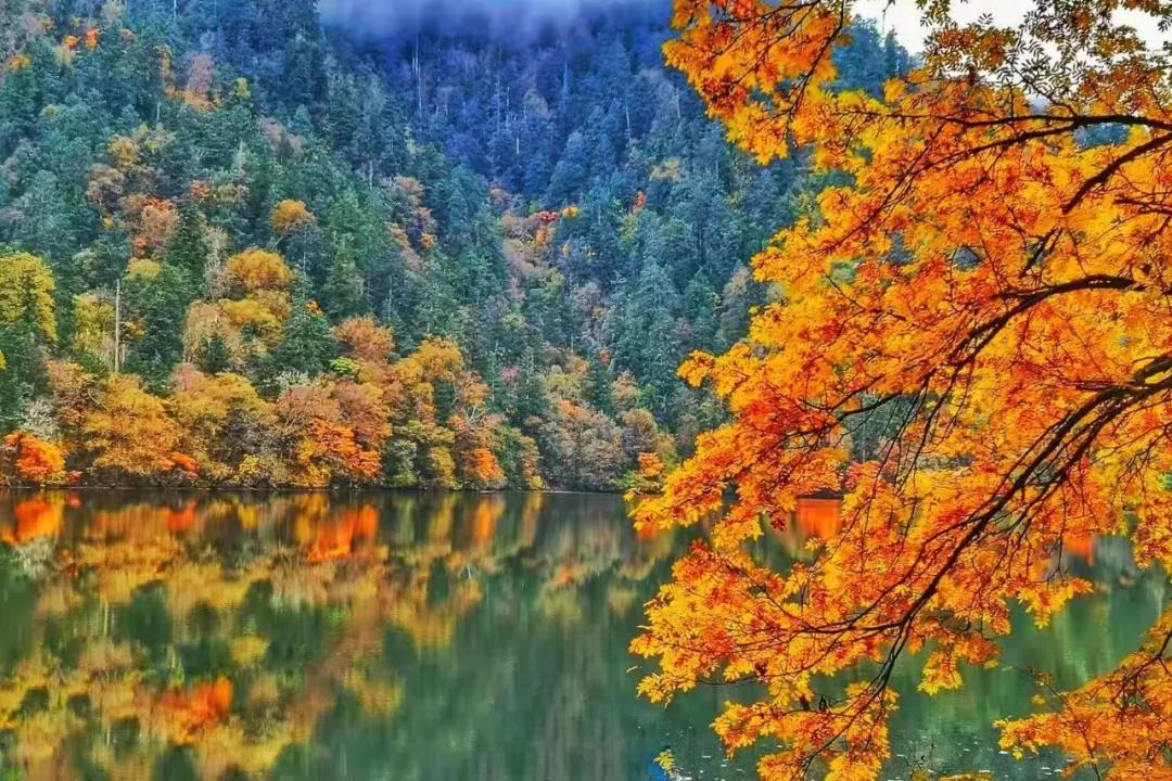 九寨沟路上招手,前方到站宁强