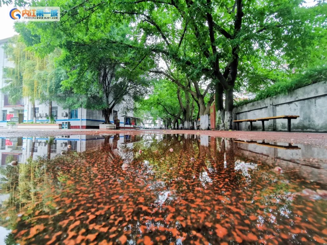 如果你是金牛座,如果你是金牛座还能改变吗