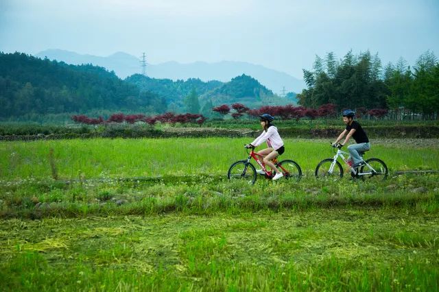 ¥599/套起!栖息30只孔雀!竹海环绕避世酒店竟全部用竹子造